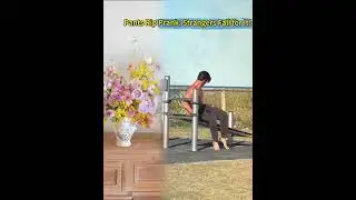 Pants Rip Prank: Strangers Fall for It! #corporate #dance #comedy #funny #love #country