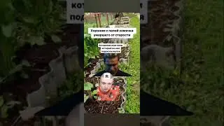 хомячок 🐹 #реки #мелстрой