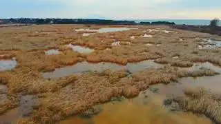 Port Imeros Rodopi 03/03/22
