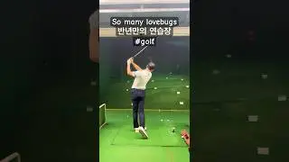 Lovebugs 너무 많아요 #shorts #globalwarming #golfbeginner #drivingrange