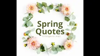 Spring Quotes