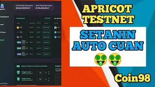 Setanin Cuy Auto Cuan..!! Apricot Tesnet Coin98 Wallet Tutorial
