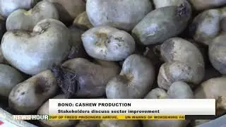 TCDA CEO DR Andy Okrah Visits Bono regional minister Joseph Akwaboa to Discuss about cashew Business