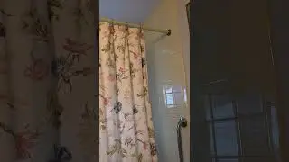 I commissioned a painting for myself to fix the Feng Shui area of my bathroom. Learn why...