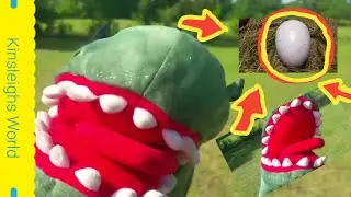 RARE DINOSAUR EGGS FOUND!!!DINOSAURS ARE AFTER US TO GET THEM BACK