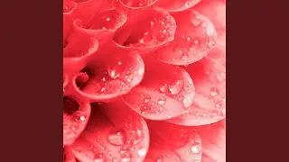 Spacious Music for Summertime Springs