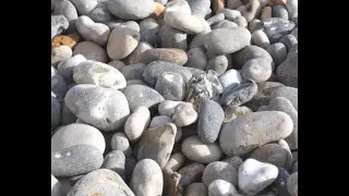 Si usted no busc&oacute; sus Otaces al r&iacute;o antes de coronar Osha, sus Orishas son de Bot&aacute;nicas.