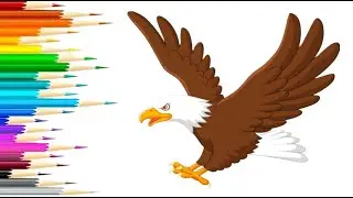 HOW TO DRAW AN EAGLE? @babycolor2505 #drawing #eagle #tiktok