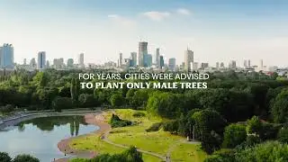 The Claritin DiversiTree Project