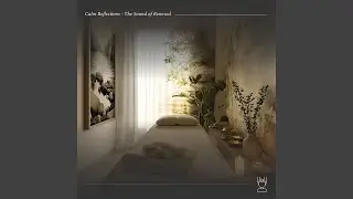 Mind Reflection