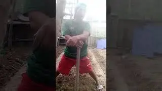 Mag bongkal ako Oli sa black o garden sa school 