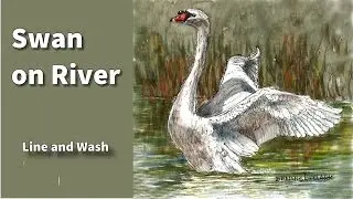 line and wash watercolor tutorial - Pen and ink tutorial - swan on river