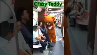 Bear brown funny moments | Tik Tok funny video