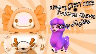 I Made my *FIRST* EVER 🌟Evolved Alpaca🦙 inside of RoPets!