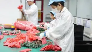 PCB Packaging & PCBA Manufacturing Process Explained