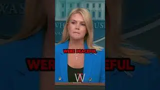 Stupid Question: Karoline Leavitt is Fed Up