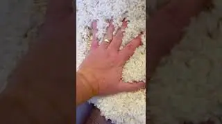 MUST WATCH One Key Point To Know Before Buying SAFAVIEH Shag Rug! #Rug #InteriorDesign #Rugs