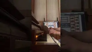 J.S. Bach- Toccata D minor #bach #organ #hauptwerk #orgel #music #silbermann