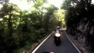 Pr 446 (Bosque Guajataca)