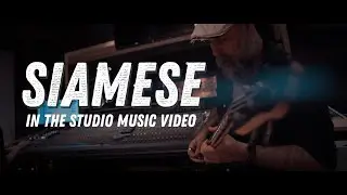 Siamese - Music Video