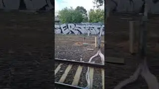 Melbourne Trains #graffiti #train #melbourne #melbourneaustralia #beautiful