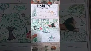 Habitat Project 🙂😁 #project #habitat #science #scienceproject #artprojects