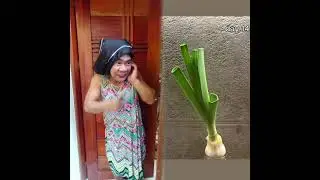🤣👌👌👌2026 pov Must-Watch Crazy Clips Compilation #humor #fypシ #pov #fyp #foryou 😍😜