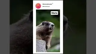 mariaaaaaa