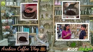 Naati Grains Vlog Episode-1/Arabica Coffee Vlog/Traditional and Organic Shop/Organic Coffee/KidsFarm
