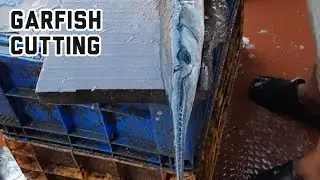 garfish cutting video/ konthi fish cutting video/ fish cutting videos/ malpe fishing Harbour