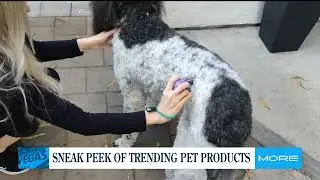 Sneak Peak of Trendy New Pet Products
