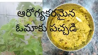 ఓమా కు పచ్చడి ఆరోగ్యానికి ఎంతో మంచిది.