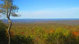 Fall Foliage Sunrise Mountain Road Stokes Forest NJ Lifestlye