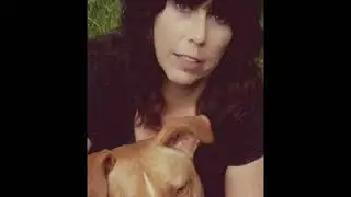 Certified Animal Behaviorist