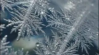 Intricate frost patterns forming delicate fern like ice crystals on a cold surface sparkling with