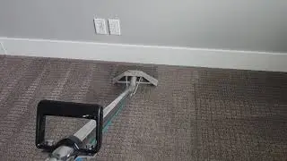 Condo Carpet Cleaning in Calgary