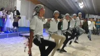 فرقة نسور الليل للدبكة السيناويه بالعريش