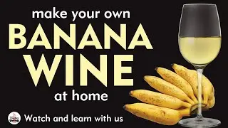 make your own BANANA WINE at home | watch subtitles in your language.