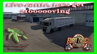 ETS2 Career mode. Moving some cattle from Spain to France, so we better get a mooooove on