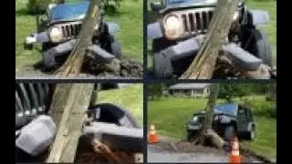 Bee causes driver to hit pole on East 71st Street in Indianapolis