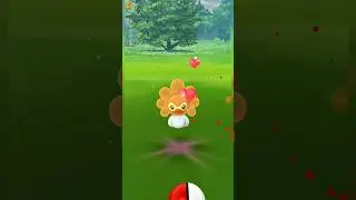 I Caught Wild Pokemon Castform In Pokemon Go #pokemongo #castform #shortsfeed