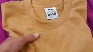 Pro Club heavyweight tee review and thoughts | IsaacReel