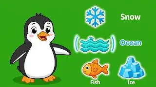 Penguin Habitat Icons Green Screen Loop | Penguin Awareness Day NCR Visual 07