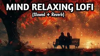 💔2026 Ultimate Mind Relaxing Lofi Beats | Study, Sleep & Chill 43