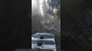 dropping huge tree with 870 tigercat #BackwoodsLogging@Thelogginglife# subscribe&like