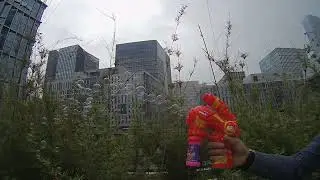 0244 TomTom Bandit 1280 720 5016Kbps 30 31fps