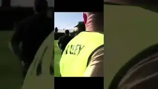 FUNNY animal IN FOOTBALL FIELD
