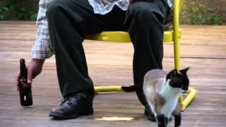 Robert Longstreet pets a cat (On the set of Sabbatical)