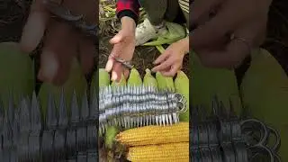 Rural Farmer #5002