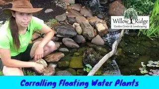 Corralling Floating Water Plants
